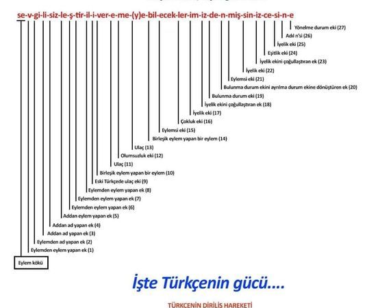 Türkçe ve Matematik İlişkisi