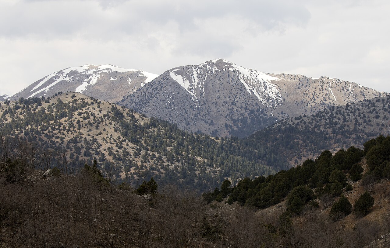 Adrassus (Balabolu)