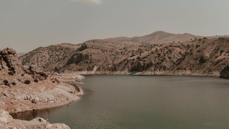 Alpsarı Göleti: Doğayla İç İçe Bir Kaçış