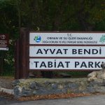 bartin-balamba-fix1