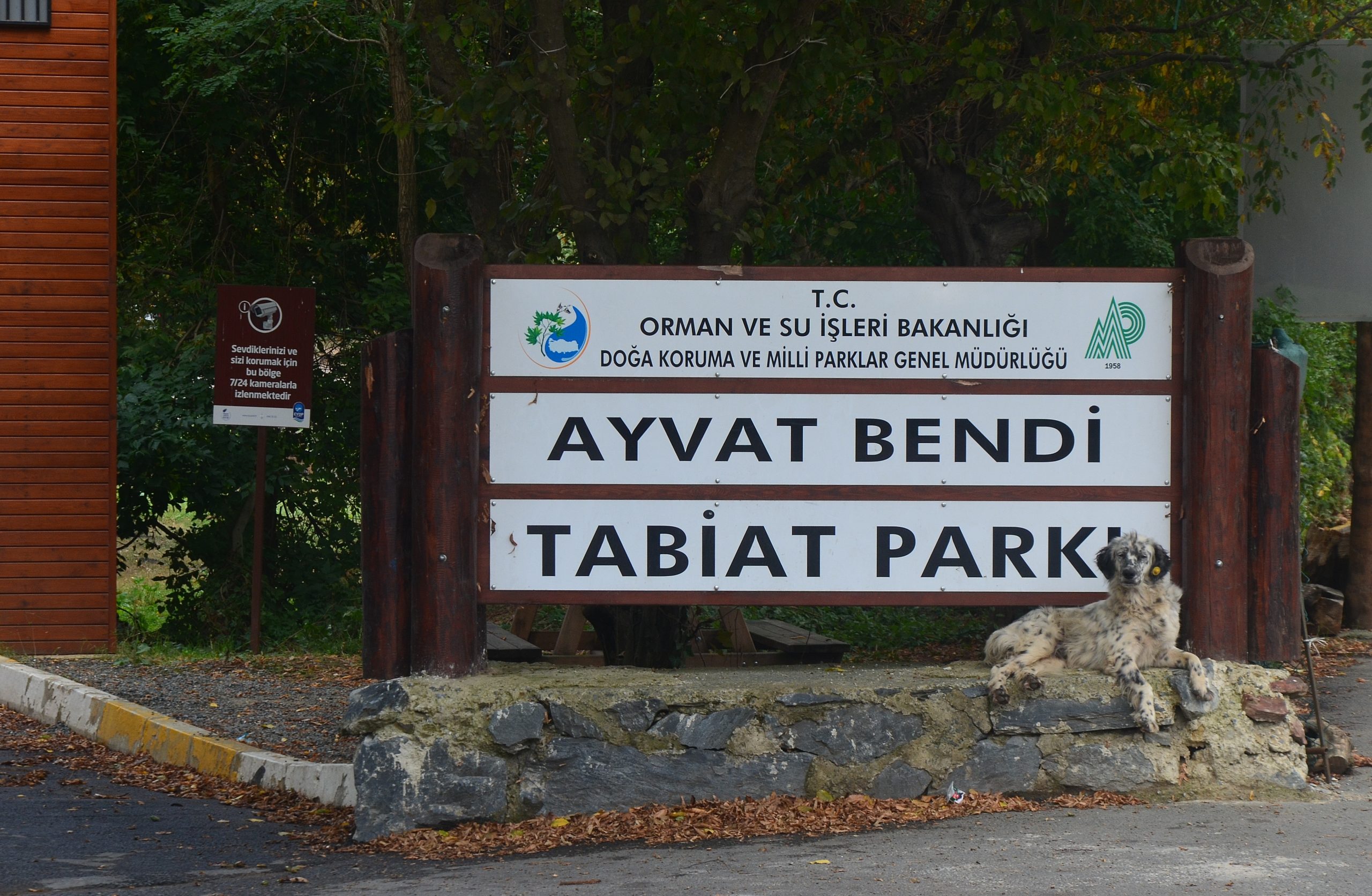 Balamba Tabiat Parkı Bartın