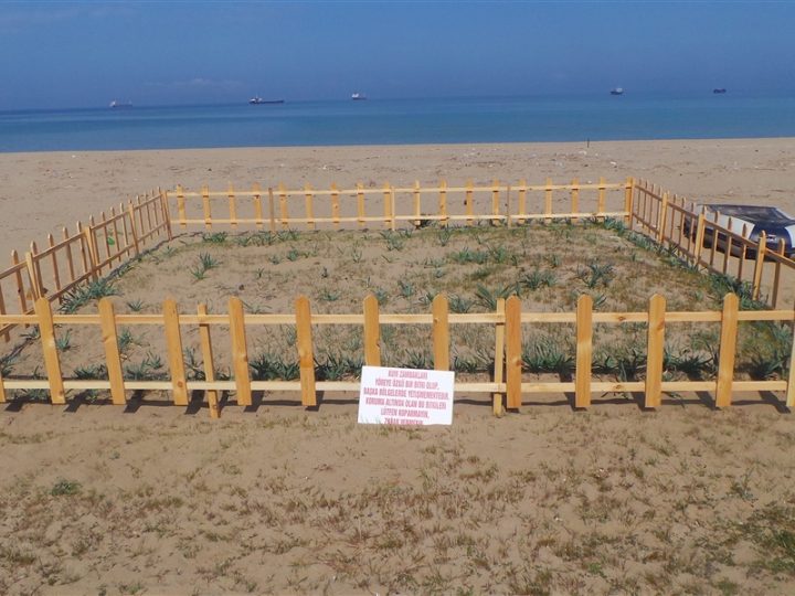 İnkumu Plajı: Bartın’ın Altın Sarısı Kumlarıyla Tanışın