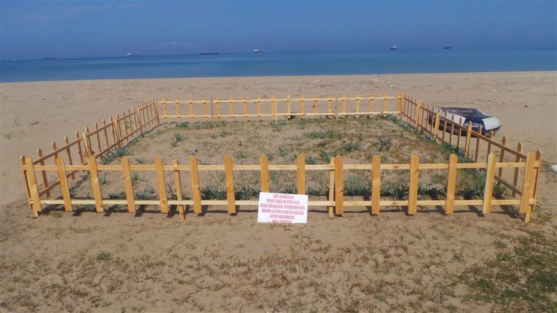 İnkumu Plajı: Bartın’ın Altın Sarısı Kumlarıyla Tanışın