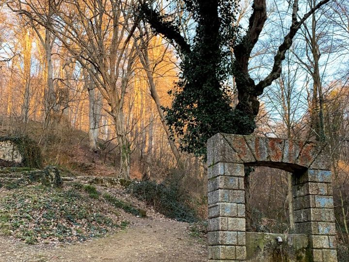 Belgrad Ormanı: İstanbul’un Doğal Nefes Alanı