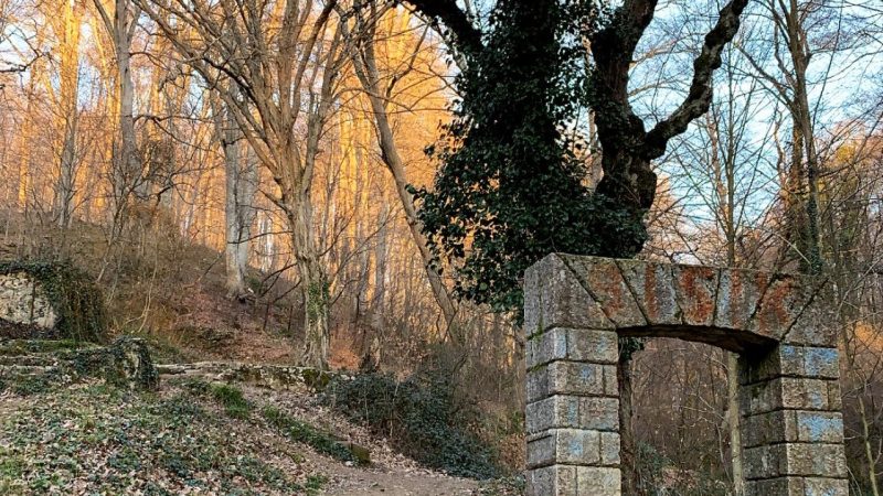 Belgrad Ormanı: İstanbul’un Doğal Nefes Alanı