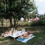 Bingöl Kirazlı Bahçe aile piknik alanı