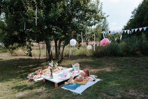 Bingöl Kirazlı Bahçe aile piknik alanı