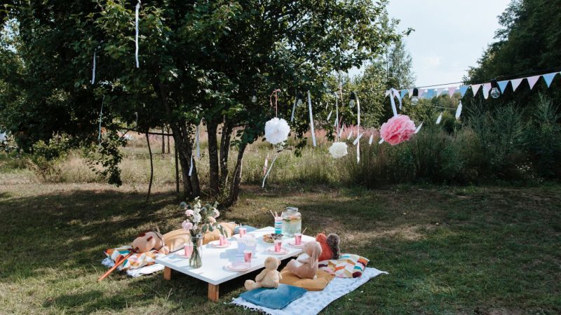 Bingöl Kirazlı Bahçe Aile Piknik Alanı: doğayla iç içe bir gün