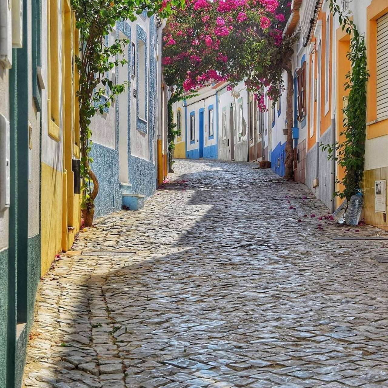 Bodrum otantik tas dosemeli sokak ve renkli evler