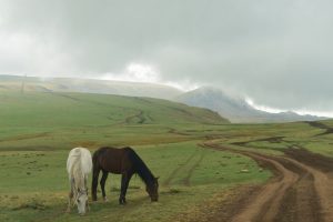 Bolu At Yaylası (Bolu gezilecek yerler, temsilî görsel)