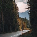 Bolu Dağı ormanlık yamaçlar ve yol