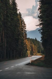 Bolu Dağı ormanlık yamaçlar ve yol