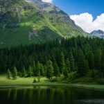 Kıbrıscık Karagöl Tabiat Parkı (Bolu gezilecek yerler, temsilî görsel)