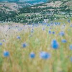 Bolu Saraycık yaylası kırsal yayla manzarası