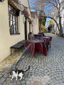 Bozcaada Sokakları