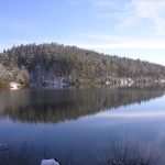 Bozcaarmut Göleti