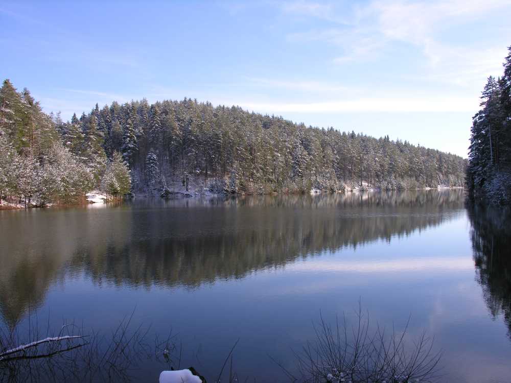 Bozcaarmut Göleti