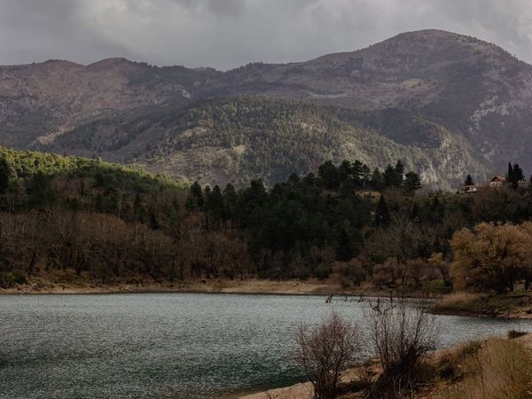 Ulu abat (Apolyont) Gölü: Kuşların Cenneti