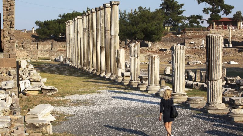 Çamlık Koyu: Bodrum’un Yeşille Mavinin Buluştuğu Yeri
