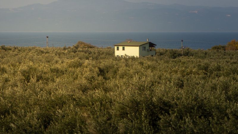 Küçükkuyu ve Güzelyalı’da konaklama: Kazdağı eteklerinde tatil