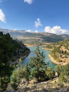 Koca Meşe temsilî görsel