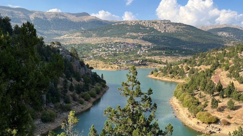 Koca Meşe: Asırlık Bir Doğa Anıtı