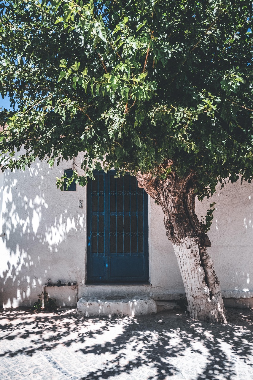Alacati otantik tas yapi ve avlu