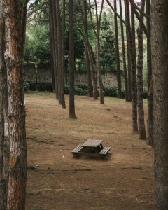 Çınarlı Dere Tabiat Parkı