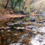 Değirmenboğazı Tabiat Parkı
