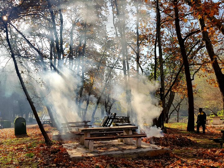 Değirmenboğazı Tabiat Parkı: Balıkesir’in Hemen Yanı Başındaki Yeşil Kaçış