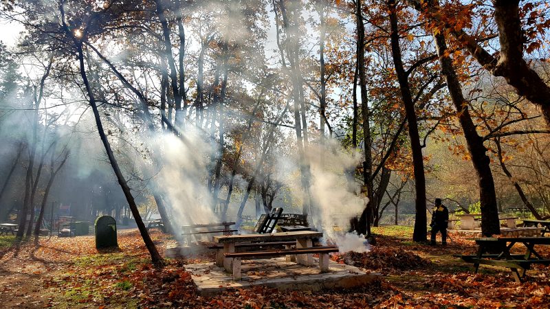 Değirmenboğazı Tabiat Parkı: Balıkesir’in Hemen Yanı Başındaki Yeşil Kaçış