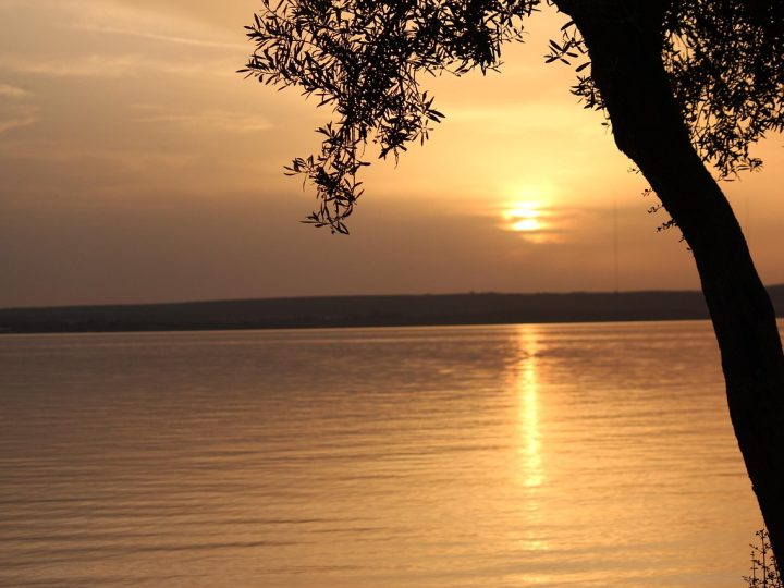 Didim Tatil Rehberi: Görülecek Yerler, Yemekler ve Konaklama Önerileri
