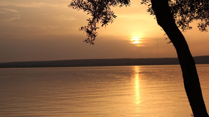 Didim Tatil Rehberi: Görülecek Yerler, Yemekler ve Konaklama Önerileri