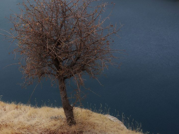 Efteni Gölü