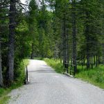 Ege doga yuruyusu ve trekking