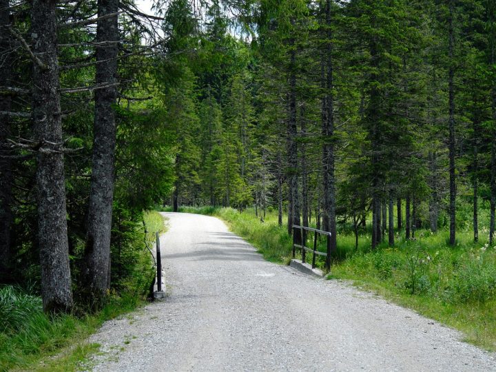 Ege’de Doğa Yürüyüşü ve Trekking Rotaları: Patikaların İzinde