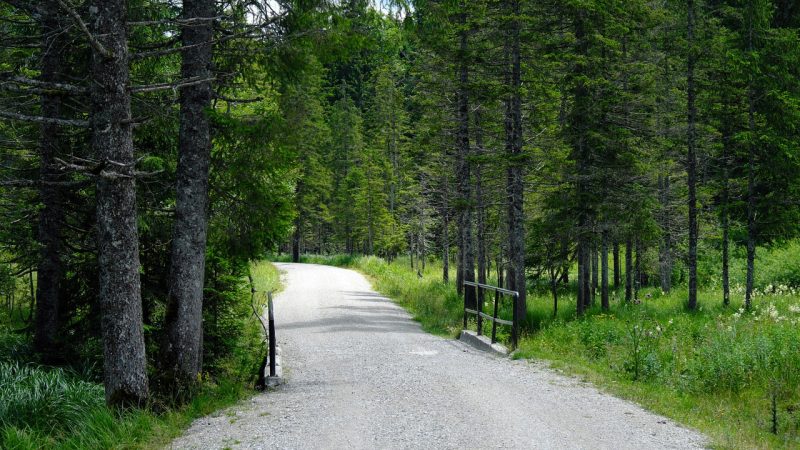 Ege’de Doğa Yürüyüşü ve Trekking Rotaları: Patikaların İzinde