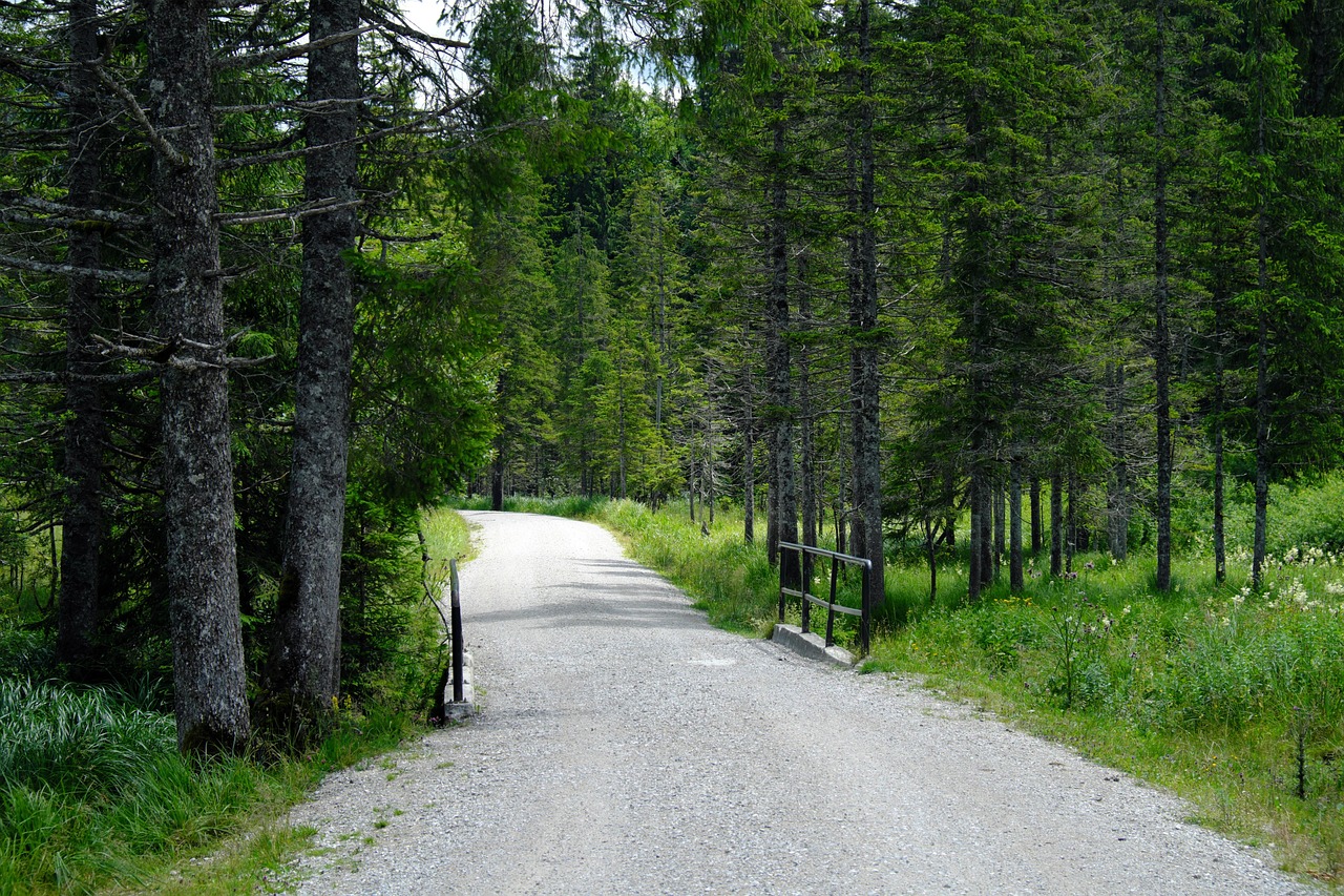 Ege doga yuruyusu ve trekking