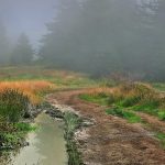 Ege trekking pratik bilgiler