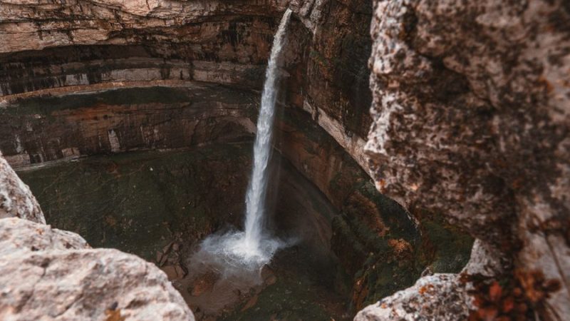 Gözler Kekik, Lavanta ve Adaçayı Bahçeleri: Renkli ve Kokulu Doğa