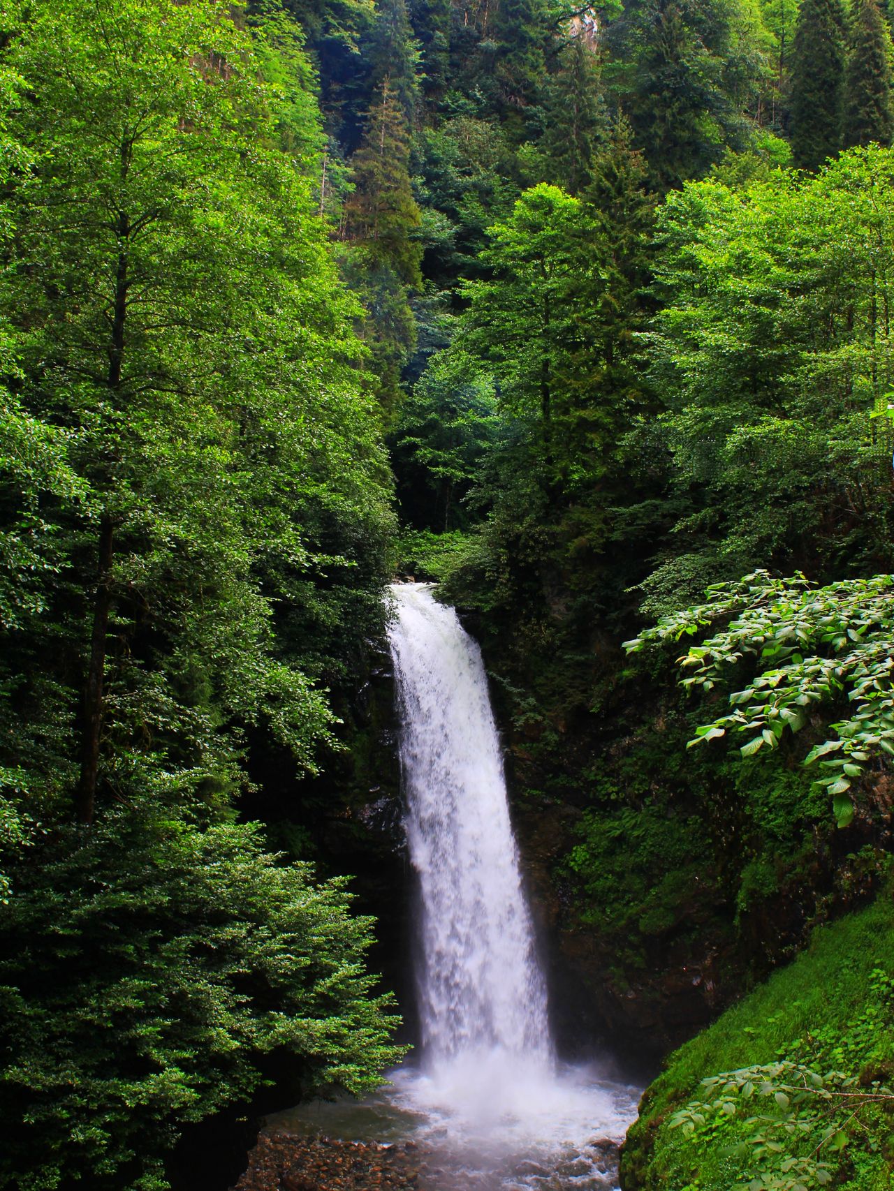Harmankaya Şelalesi Cumayeri Düzce