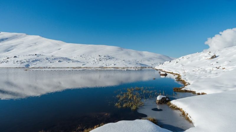 Kadınçayırı Tabiat Parkı: Korunan Doğanın Güzelliği