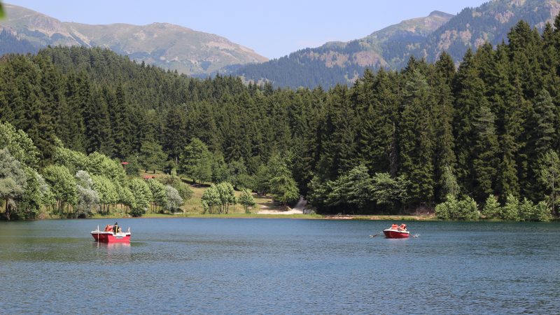 Karagöl-Sahara Milli Parkı – Artvin Gezilecek Yerler