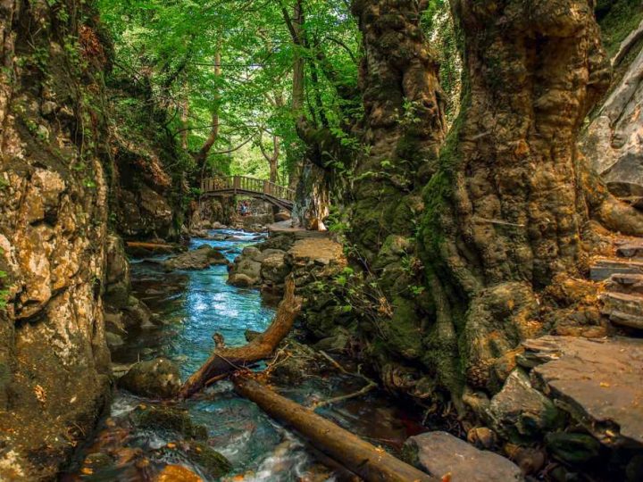 Kaz Dağı (İda Dağı): Efsanelerin ve Oksijenin Dağı