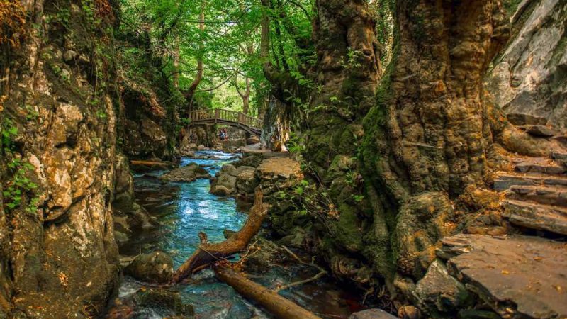 Kaz Dağı (İda Dağı): Efsanelerin ve Oksijenin Dağı