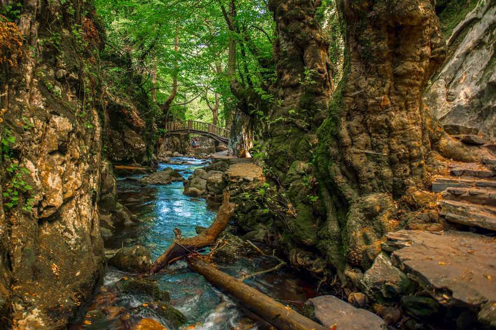 Kaz Dağı (İda Dağı)