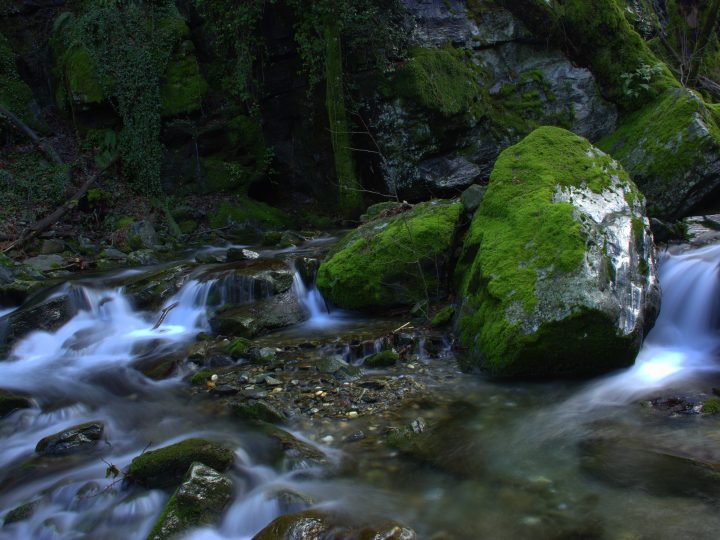 Kazdağı Milli Parkı: Efsanelerin ve Oksijen Deposu Ormanların Buluştuğu Yer