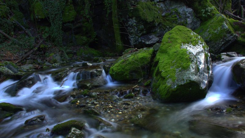 Kazdağı Milli Parkı: Efsanelerin ve Oksijen Deposu Ormanların Buluştuğu Yer