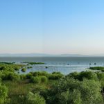 Kuş Cenneti Milli Parkı