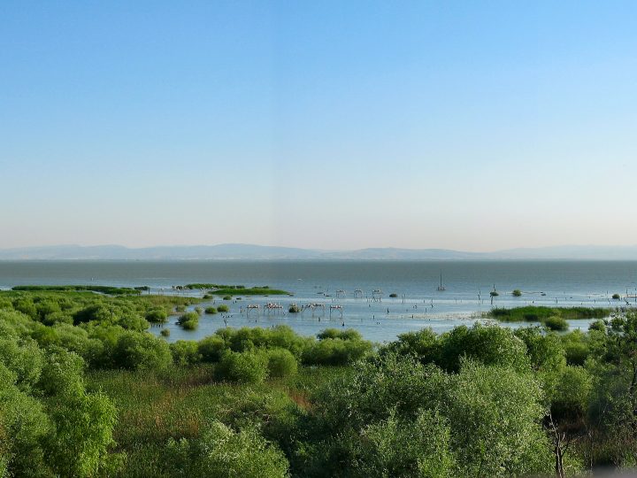 Kuş Cenneti Milli Parkı: Balıkesir’in Kanatlı Misafirlerine Ev Sahipliği Yapan Doğa Harikası